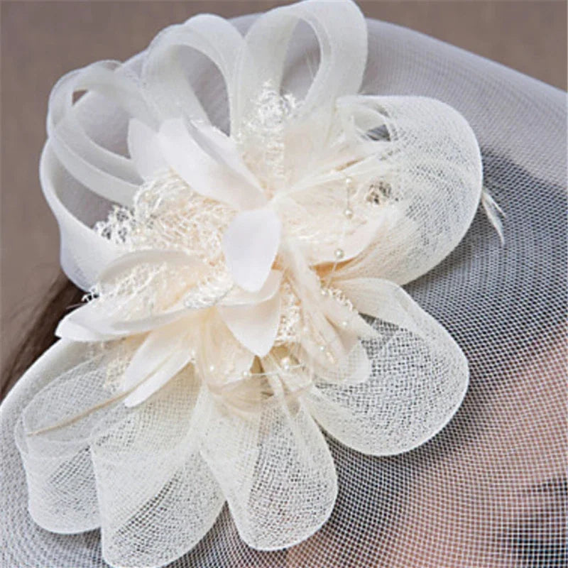 Feather & Mesh Fascinator Hairpin