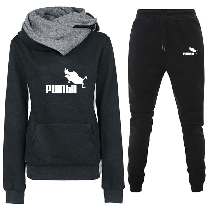 Hoodies Sweatshirt + Pants 2 Pieces Sets Tracksuit