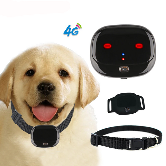 Mini 4g Pet Gps Tracker Waterproof Dog Gps Collar With Dazzle Lights Animal Locator Support Geo-fence - Gps Trackers