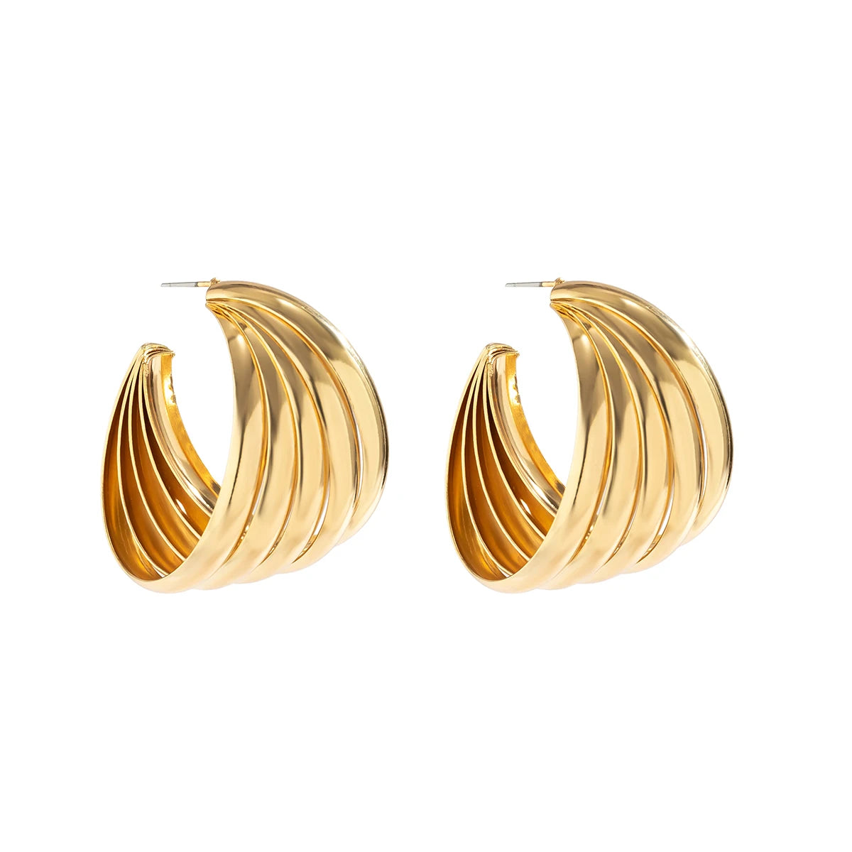 Earrings Jewelry