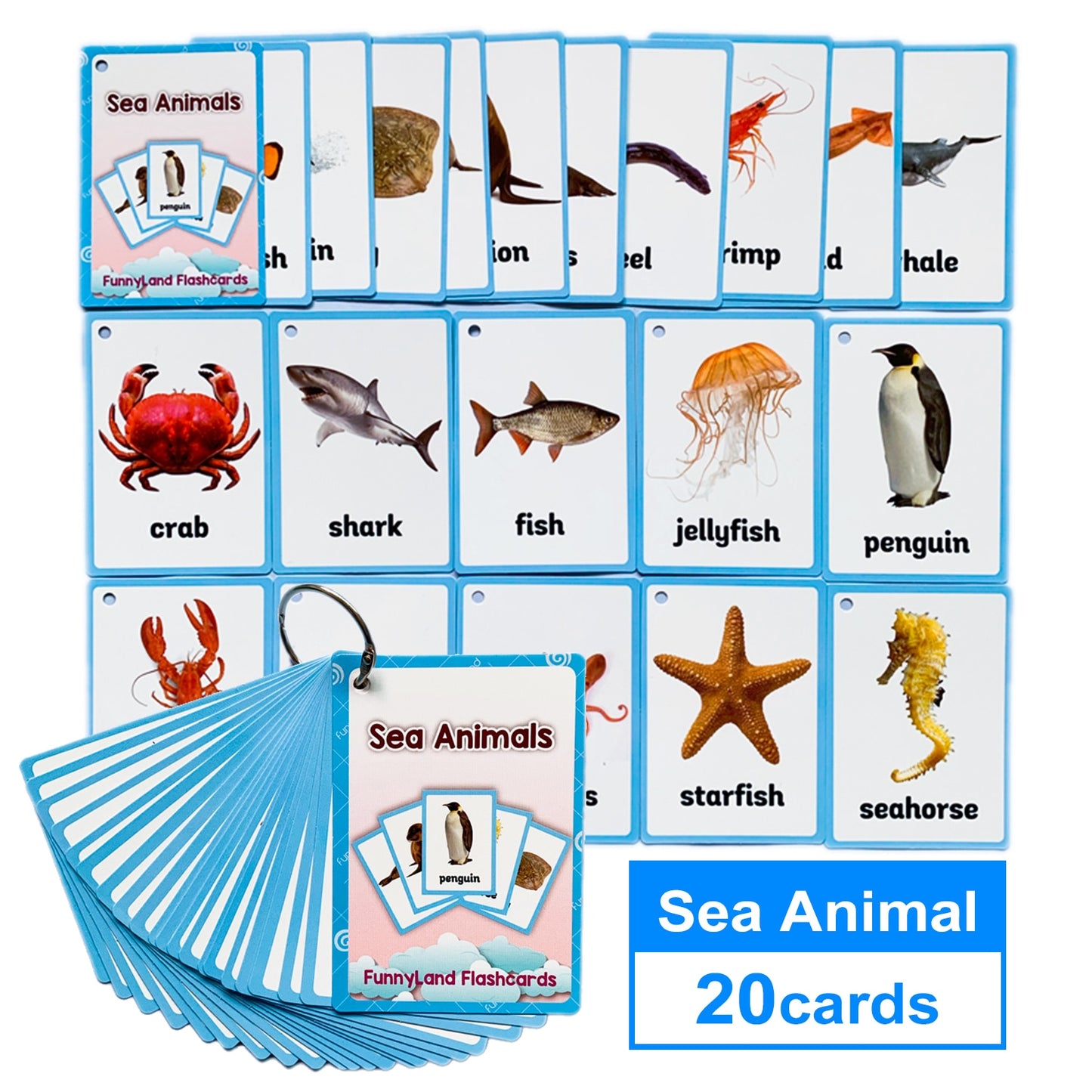 Kids Montessori Baby Learn English Word Card Flashcards Cognitive Educational Toys