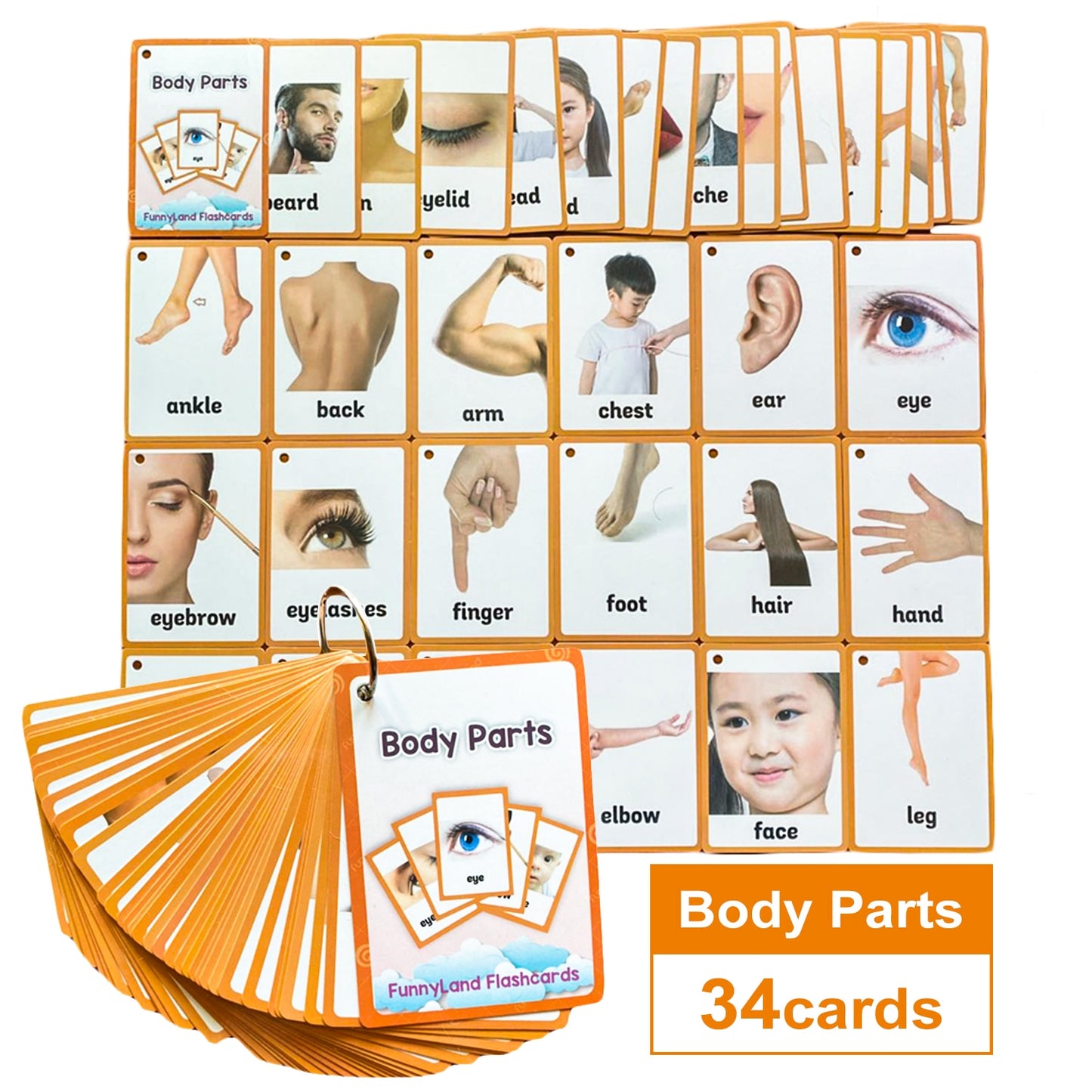 Kids Montessori Baby Learn English Word Card Flashcards Cognitive Educational Toys