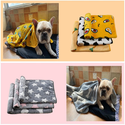 Bed sheet warm and comfortable pet blanket