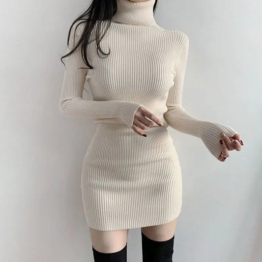 Winter Dress