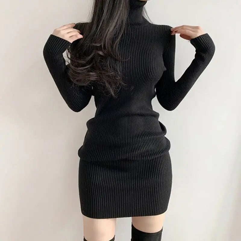 Winter Dress