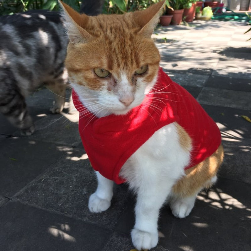 Solid Fleece Cat Clothes Winter Sphinx Cat Vest Harness