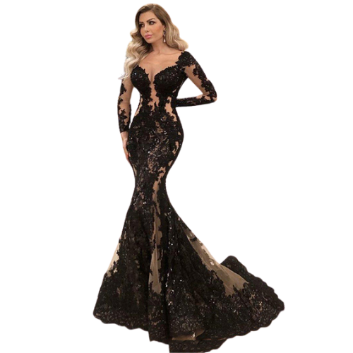 Lace Long Sleeve Evening Dress - Azahshopping