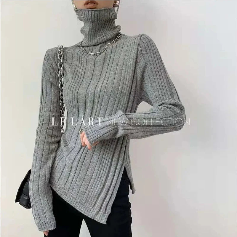 Winter Top for Women