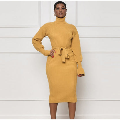 Knit Turtleneck Lantern Sleeve Midi Dress