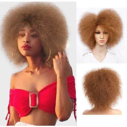 Soft Kinky Short Afro Wig