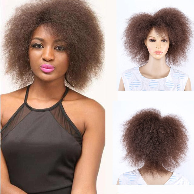 Soft Kinky Short Afro Wig