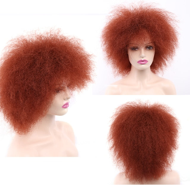 Soft Kinky Short Afro Wig