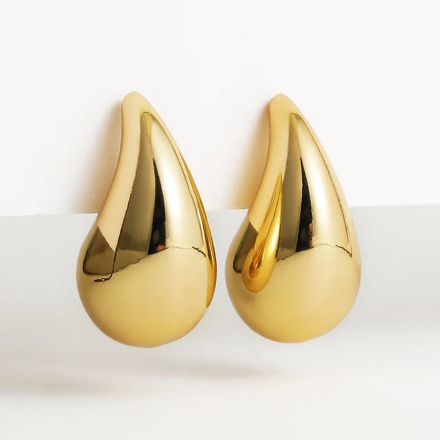 Earrings Jewelry