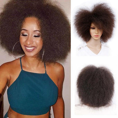 Soft Kinky Short Afro Wig