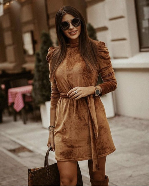 Winter Long Puff Sleeve Velvet Dress For Women - Azahshopping