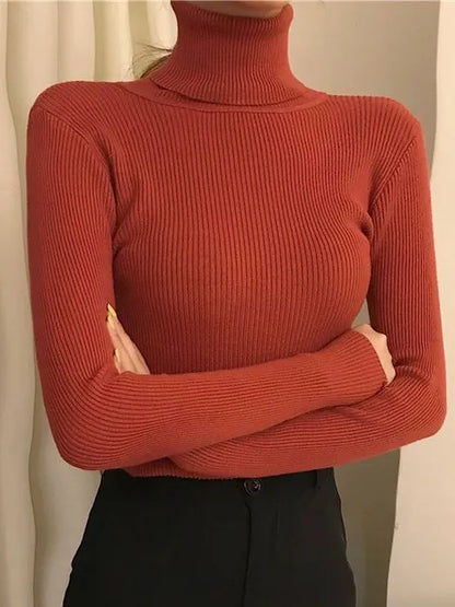 Winter Top for Women