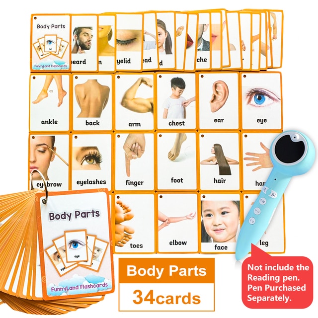 Kids Montessori Baby Learn English Word Card Flashcards Cognitive Educational Toys