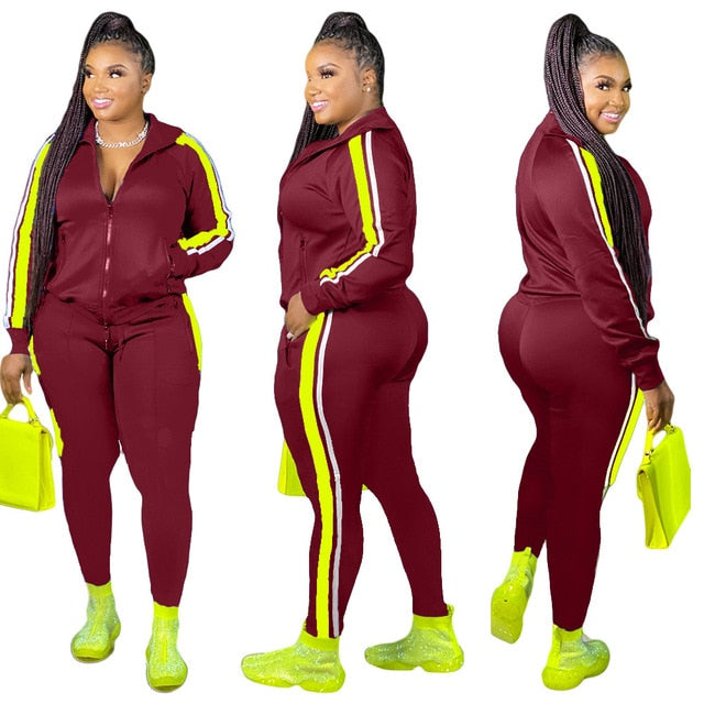 Hooded Collar Patchwork Tracksuit Set for Women