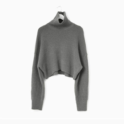 One Size Turtleneck Crop Sweater for Women