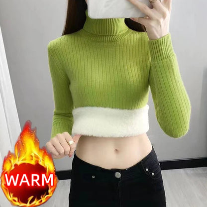 Winter Top for Women