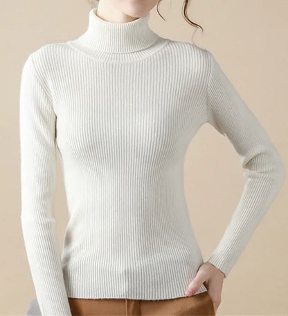 Winter Top for Women