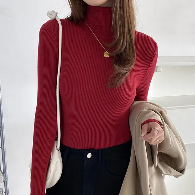 Winter Top for Women