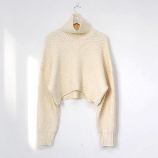 One Size Turtleneck Crop Sweater for Women